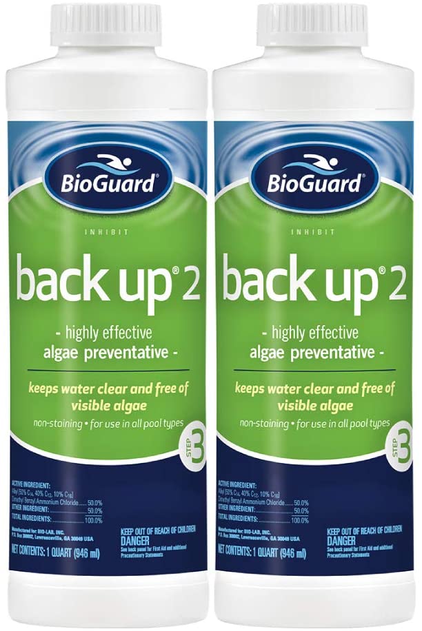BioGuard Back Up 2 (1 qt) (2 PACK) - Poolstoreconnect