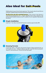 Pool RX + Booster Blue Swimming Pool Algaecide 332001